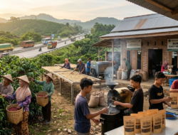 Ilustrasi hilirisasi kopi di desa Bukit Kemuning Lampung Utara, petani memanen dan mengolah kopi dengan mesin pengering serta produksi kopi kemasan oleh BUMDes